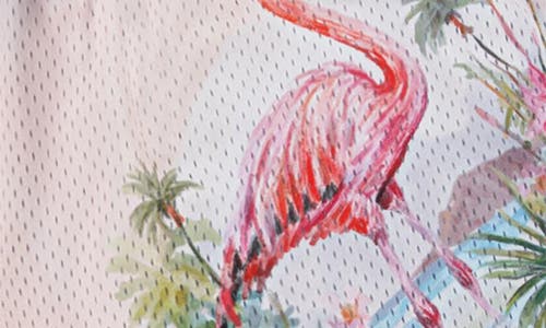 Jordan Kids' Dri-fit Flamingo Print Mesh Shorts In White