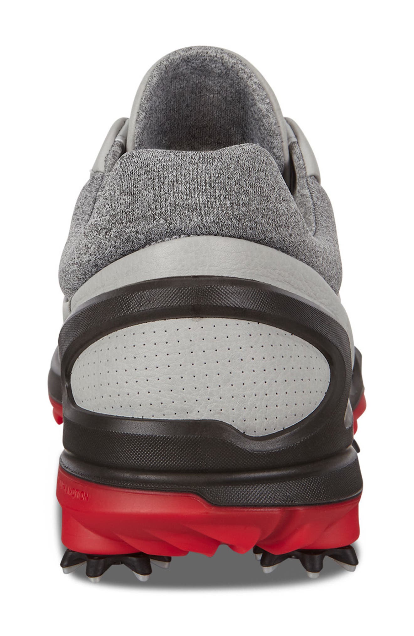 BIOM® G 3 BOA® Gore-Tex® Golf Shoe, Alternate, color, CONCRETE