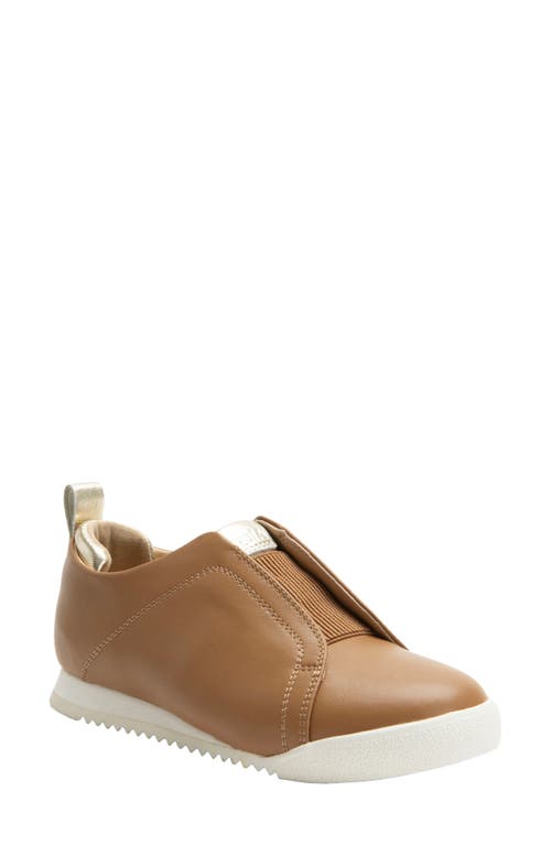 Alegria By Pg Lite Reah Slip-on Sneaker In Brown