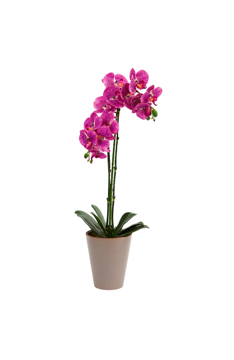NEARLY NATURAL 24-in Speckled Phalaenopsis Orchid Artificial Arrangement, Main, color, Orchid