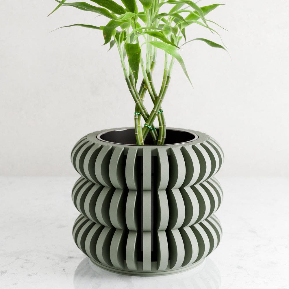 Forest Green - 7"