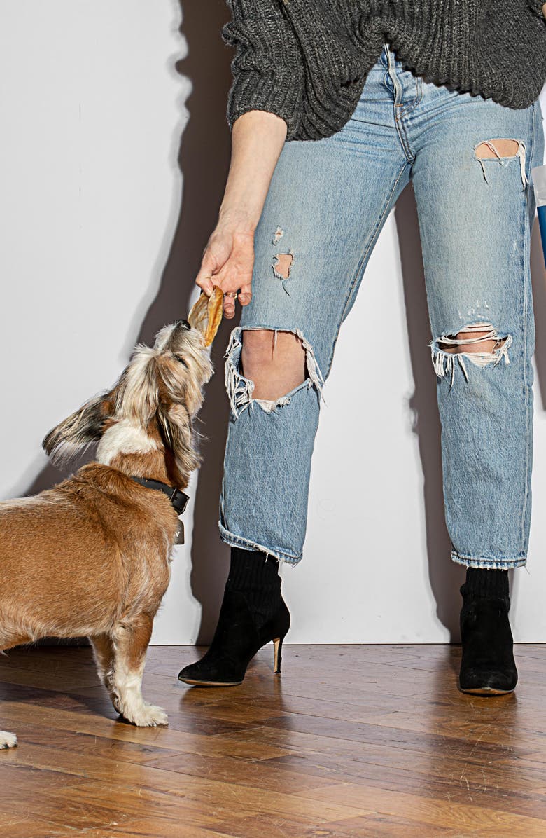 Wild One Fish Puffs Dog Snack, Alternate, color, 