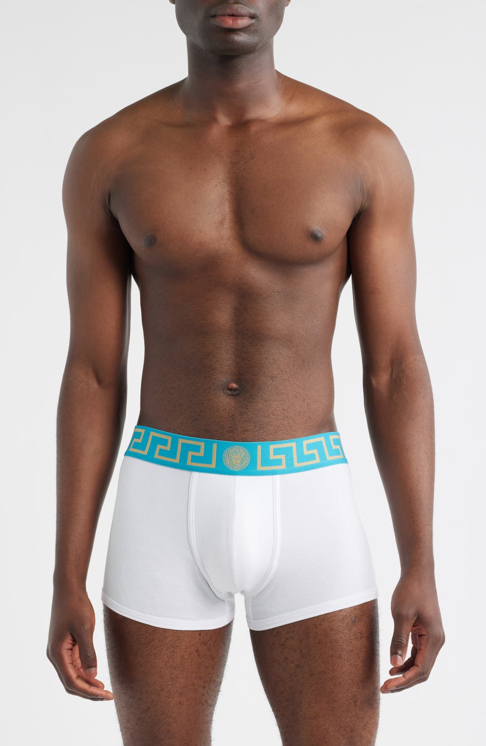 Grecca Band Boxer Briefs, color, BIANCO DARK SEA GREEN-ORO