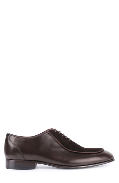 Vellapais Ovalo Oxford In Dark Brown