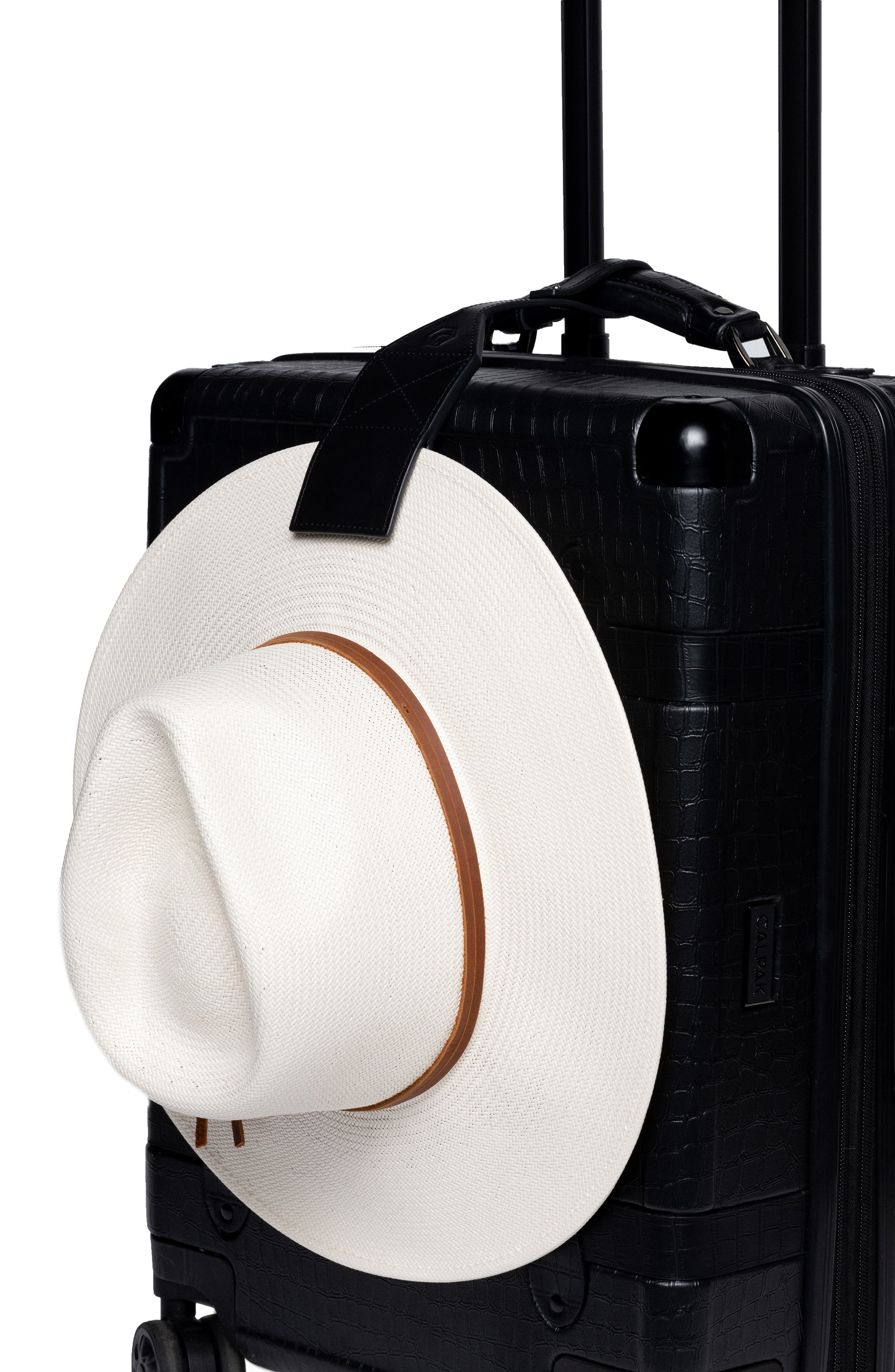 Lindsay Albanese TOPTOTE Leather Hat Holder, Alternate, color, 