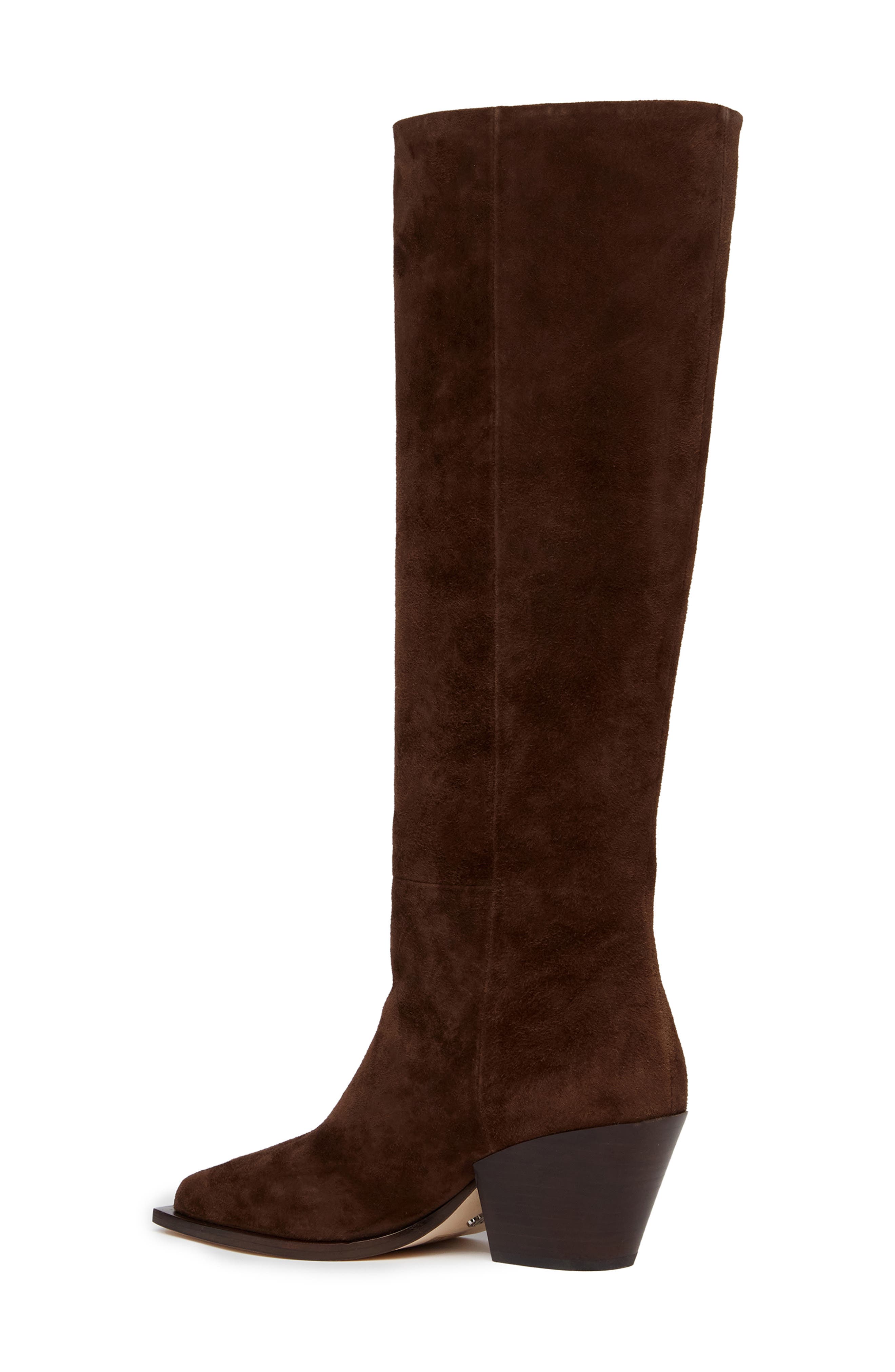PAIGE Lillian Pointed Toe Knee High Boot, Alternate, color, 