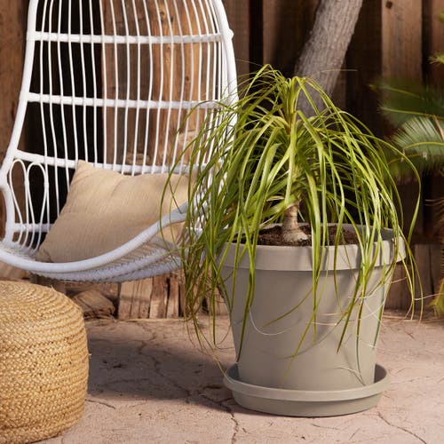 Bloem 20.5 Inch Terra Pot Gardening Planter In Neutral