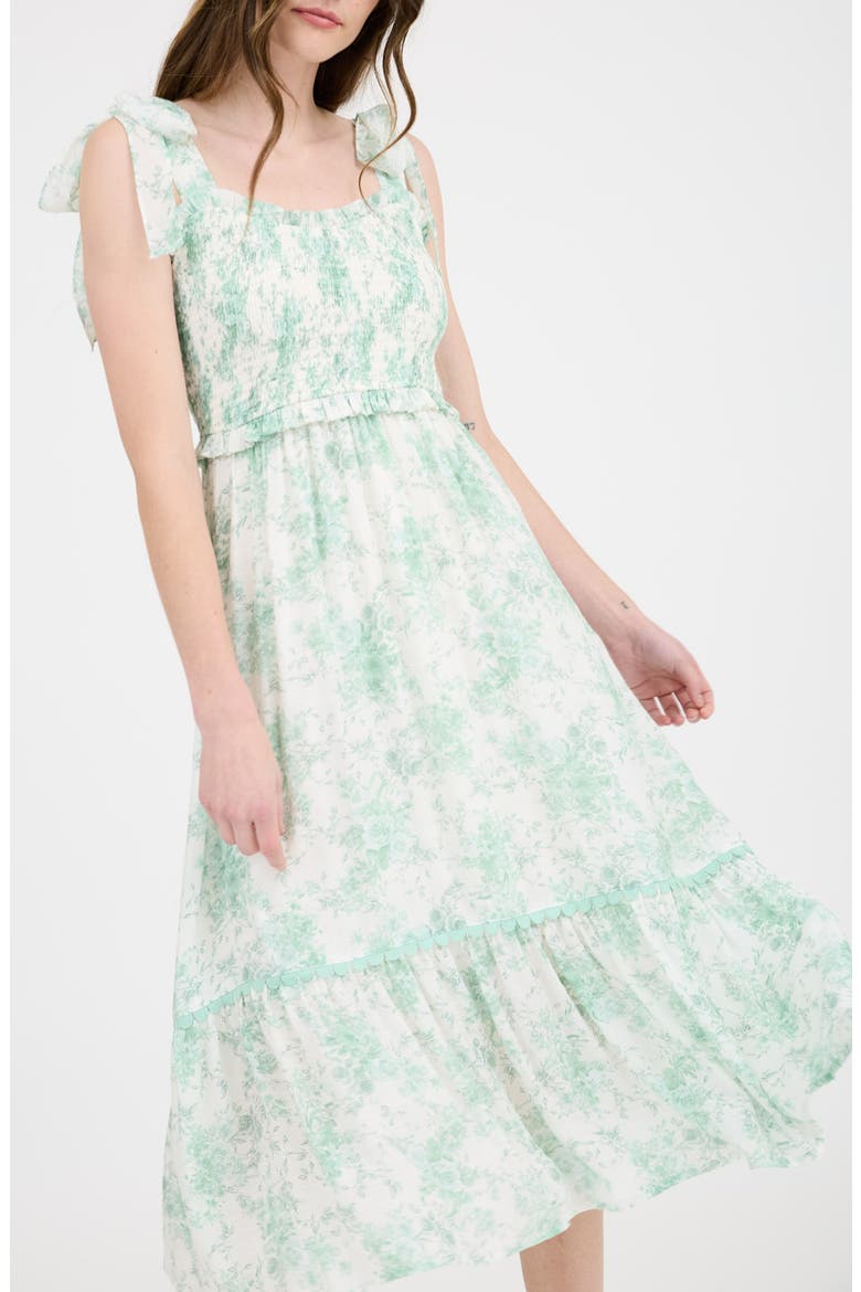 Floral Ruffle Midi Dress, Alternate, color, DUSTY MINT MULTI