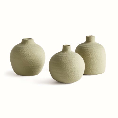 Napa Home & Garden Jordan Bud Vases Set Of 3 In Green