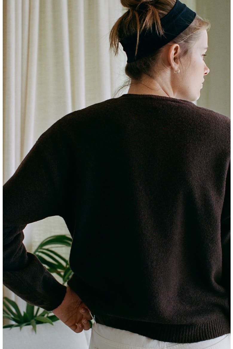 Crewneck Sweater, Alternate, color, BROWN