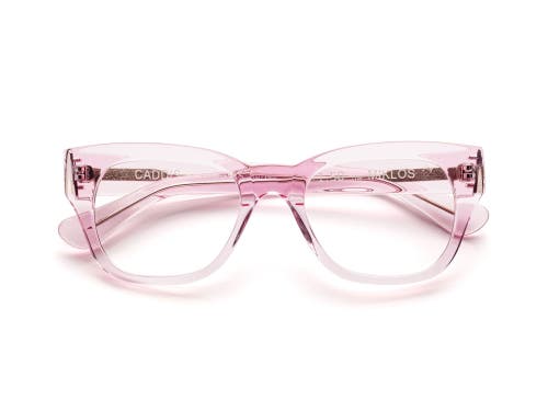 Caddis Miklos | Reading Glasses