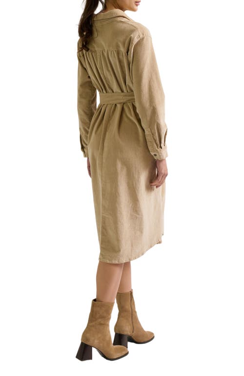 Zzdnu Cache Couer Jude Maternity Dress In Brown