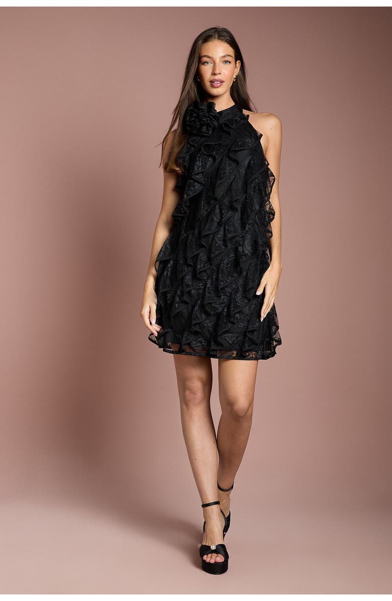 Coast Lace Frill Mini Dress, Alternate, color, Black