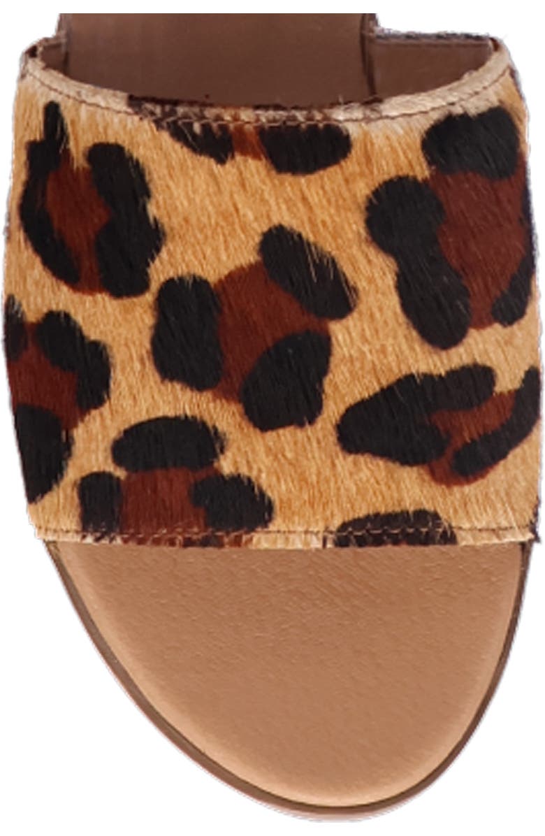 Dingo Tabby Genuine Calf Hair Slide Sandal, Alternate, color, Leopard