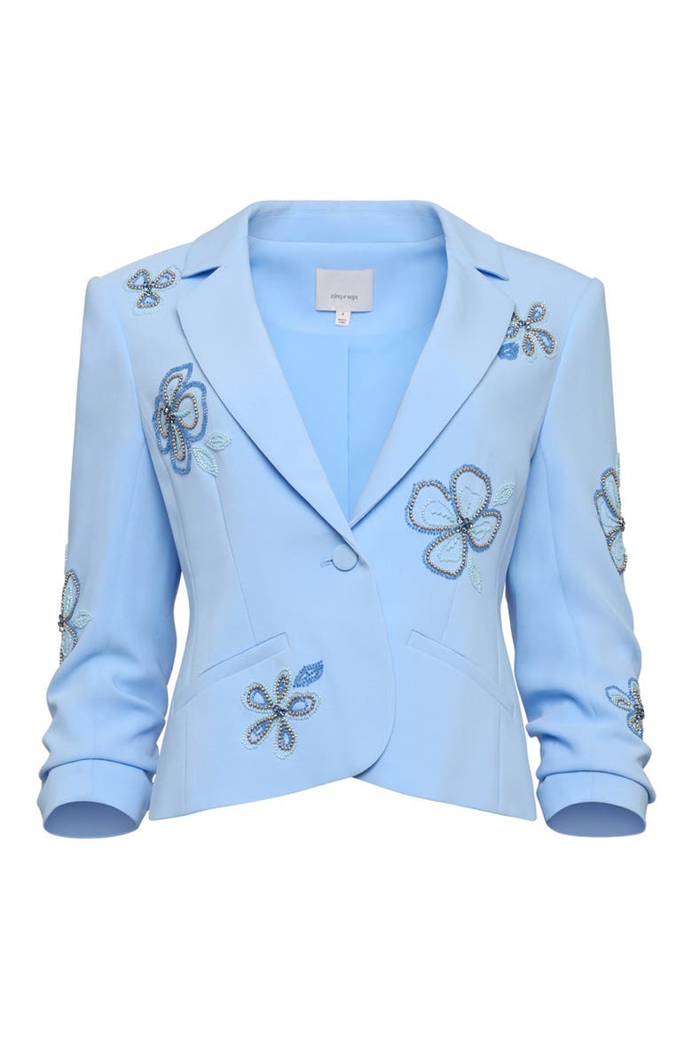 Beaded Floral Jacket, Alternate, color, BLUE WISTERIA MULTI