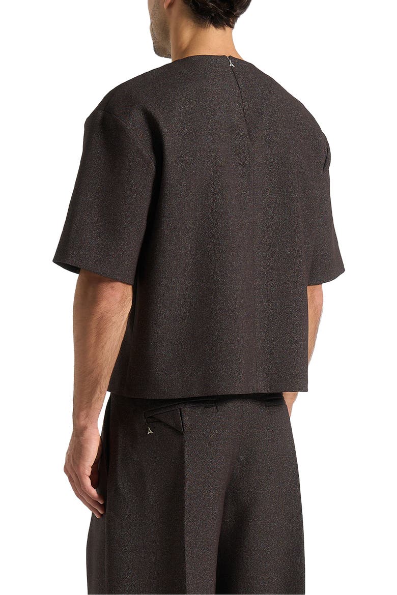 Leon Boxy Cropped Hatched T-Shirt, Alternate, color, Brown