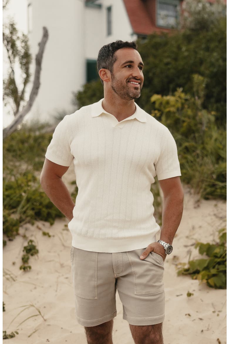 Robles Textured Knit Polo, Alternate, color, IVORY