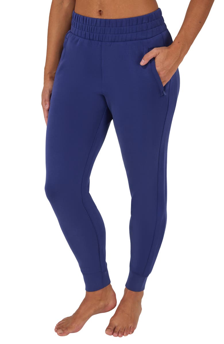 YOGALICIOUS SoftLite District Sandwashed Joggers, Alternate, color, Blue Ribbon
