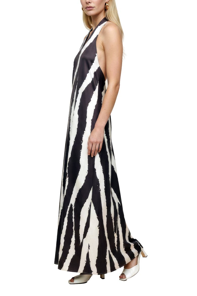 Belle Zebra Print Maxi Dress, Alternate, color, Black & White