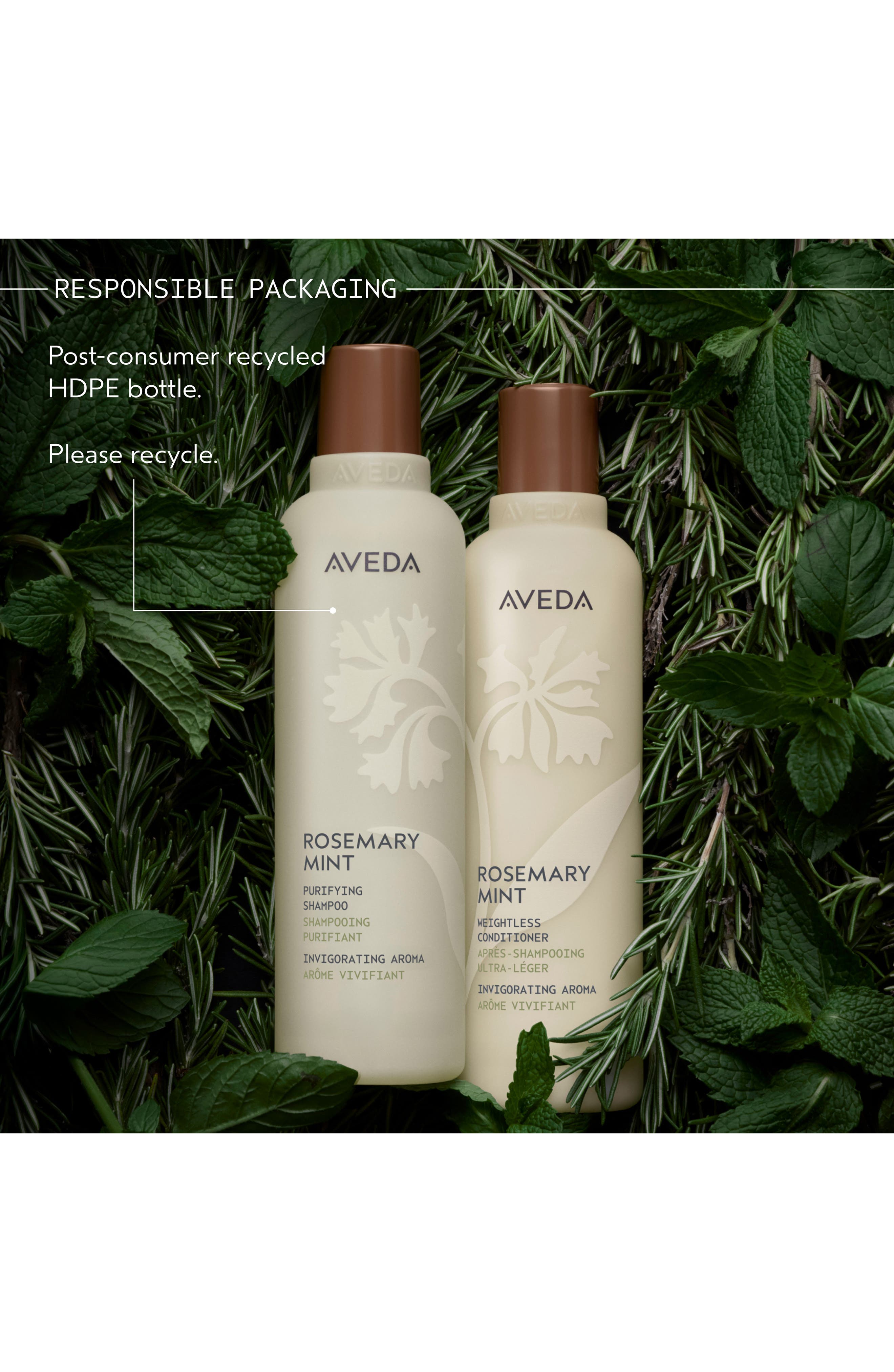 Rosemary Mint Purifying Shampoo | Nordstrom