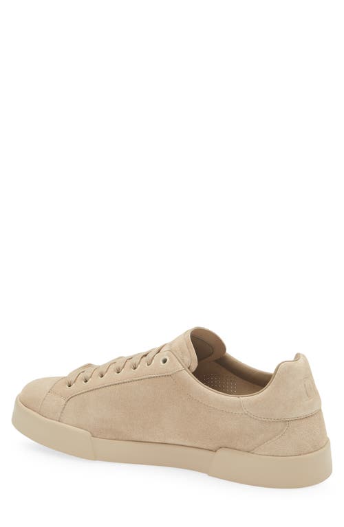 Dolce & Gabbana Dolce&gabbana Perforated Logo Low Top Sneaker In 80703-sabbia