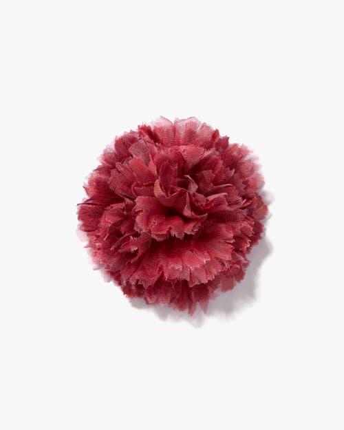 Helena Simon The Dark Pink Carnation In Pink