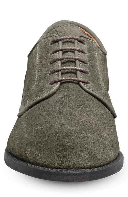 Allen Edmonds Windsor Plain Toe Derby In Grey