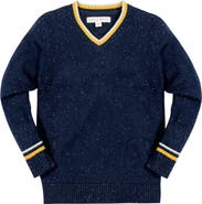 Hope & Henry Baby Boys' Organic V-Neck Sweater, Infant