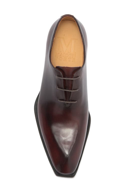 Maison Forte Director Wholecut Oxford In Chestnut