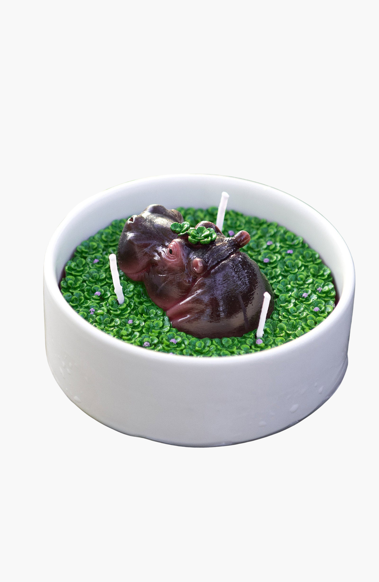 Southlake gifts Hippo Aromatherapy Scented Candle Bowl, Alternate, color, Brown / Purple / Green