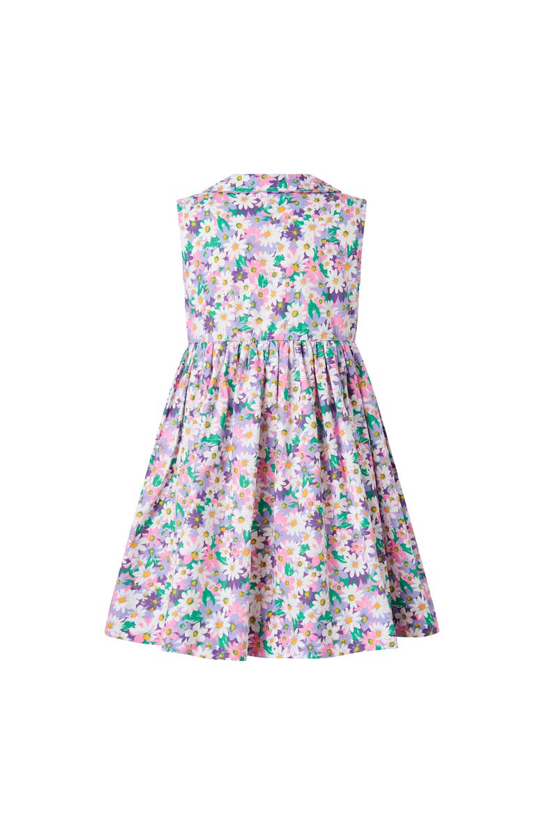 Rachel Riley Aster Sleeveless Button-Front Dress, Alternate, color, 