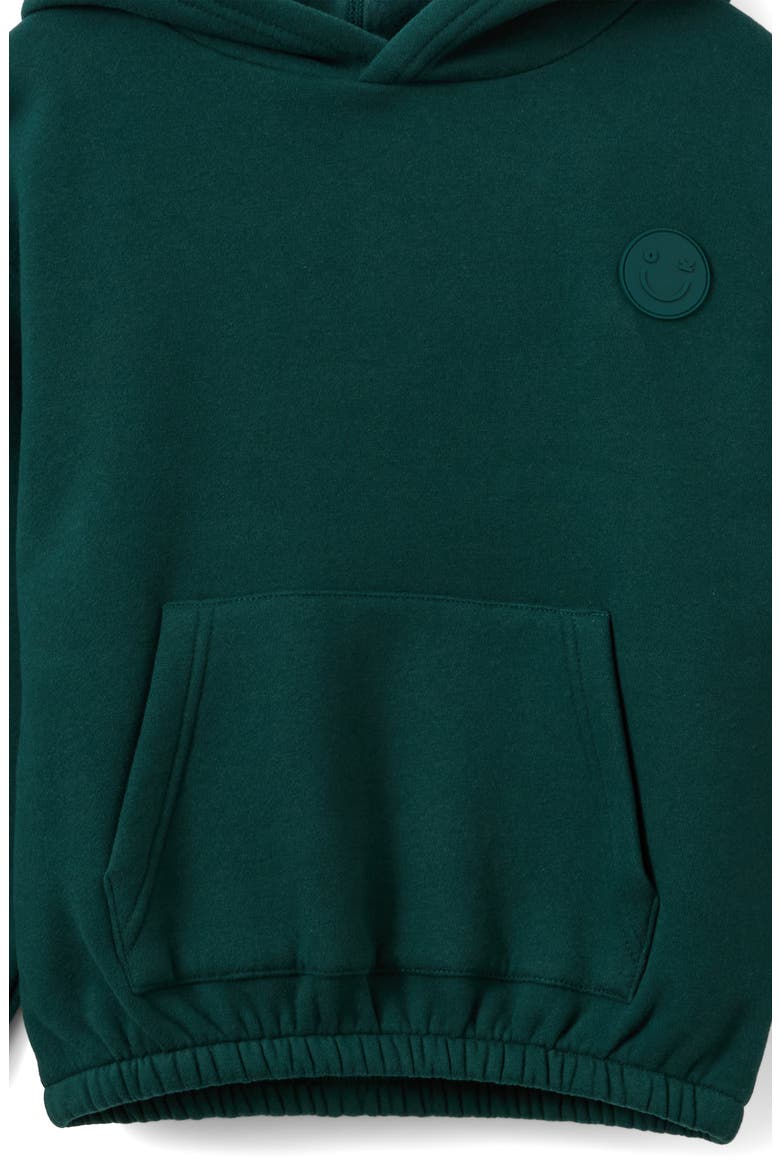 Kid's Sammy Balloon Hoodie, Alternate, color, Winter Jade