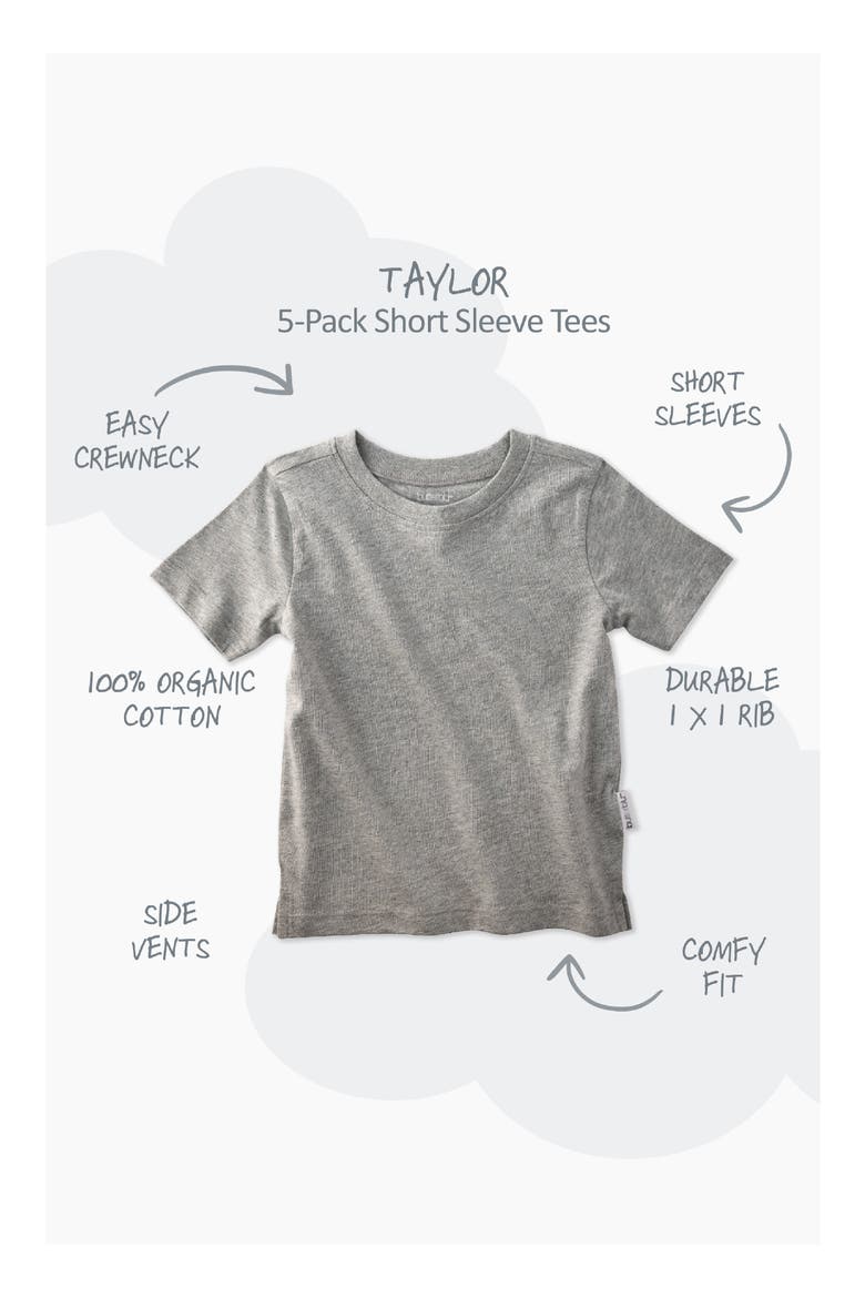Taylor Assorted 5-Pack Organic Cotton T-Shirts, Alternate, color, STONE