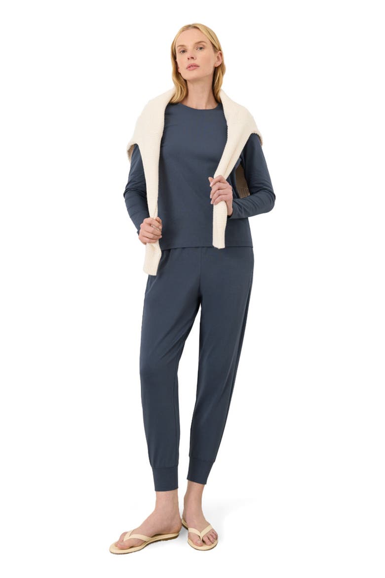 Luxe Essential Crewneck Long Sleeve Tee Made With Organic Cotton, Main, color, Steel Blue