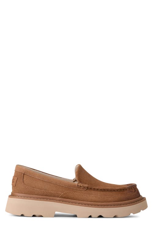 Ugg(r) Ascot Lug Loafer In Brown