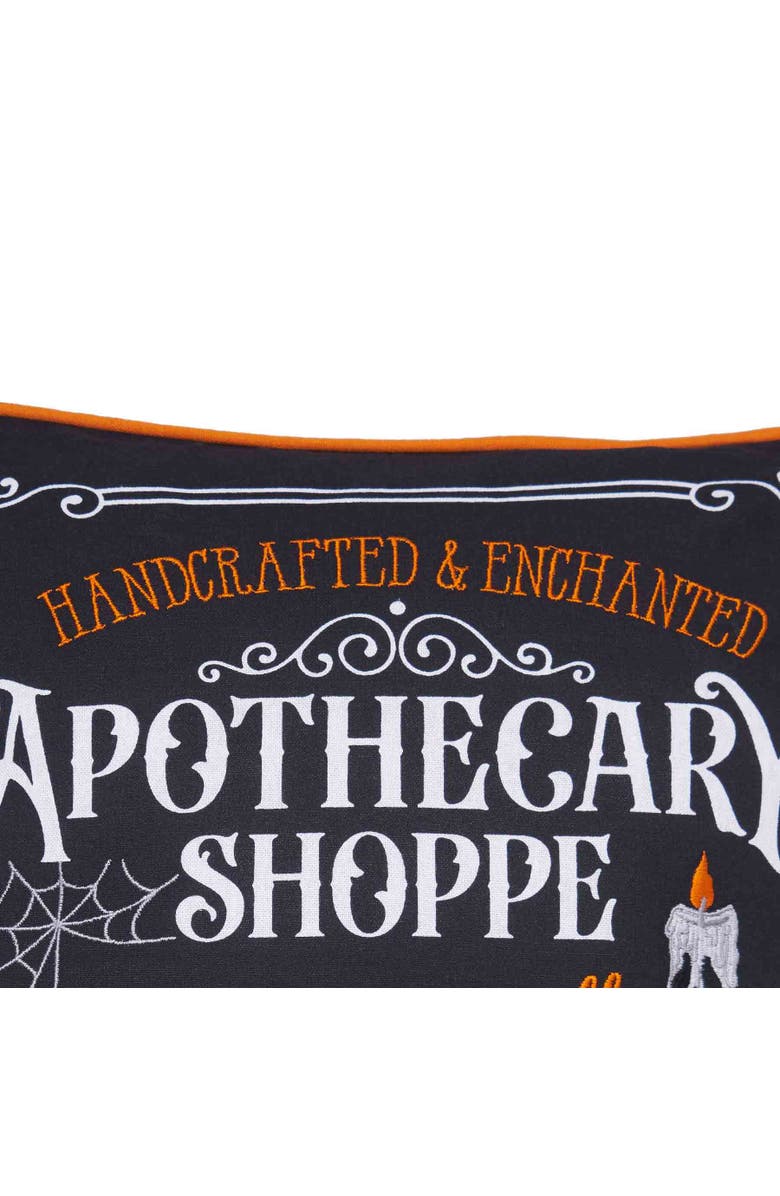 C&F Home "Apothecary Shoppe" Cotton Blend Halloween Accent Throw Pillow 18" x 18", Alternate, color, Black