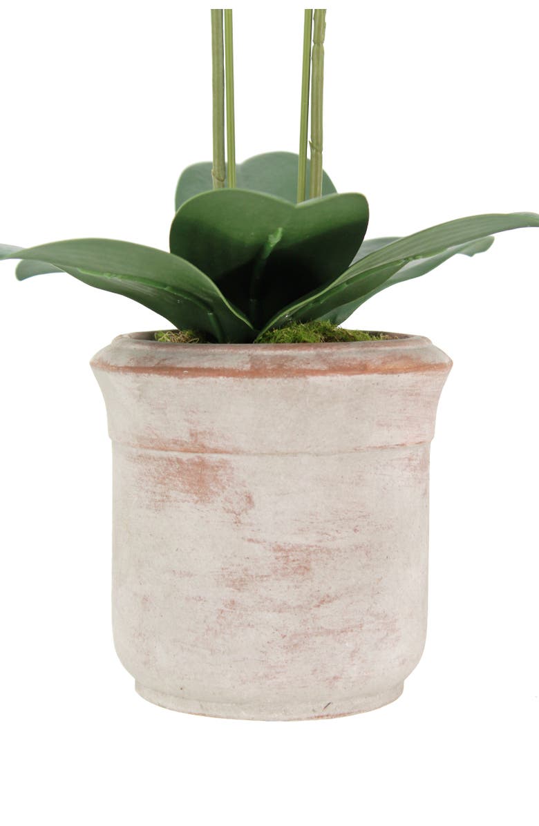 CG Hunter Artificial 2-Stem Phalaenopsis White Orchid, Alternate, color, White