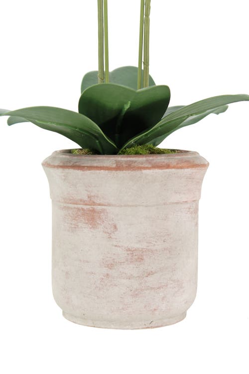 Cg Hunter Artificial 2-stem Phalaenopsis White Orchid In White