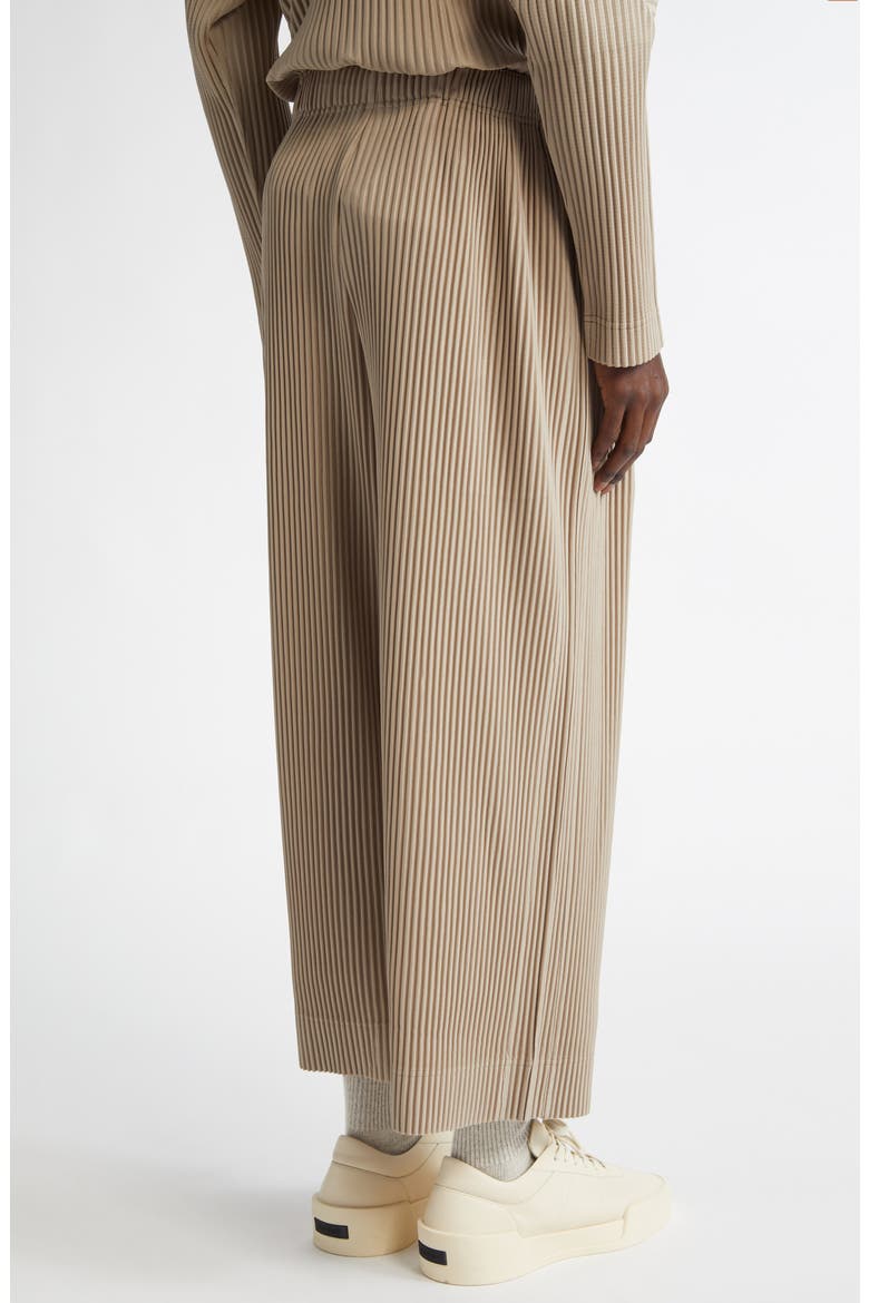 Monthly Colors September Pleated Crop Wide Leg Pants, Alternate, color, GRAIN BEIGE
