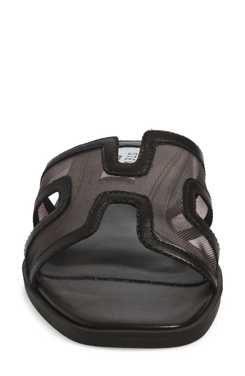 Steven New York Harlien Mesh Slide Sandal In Brown
