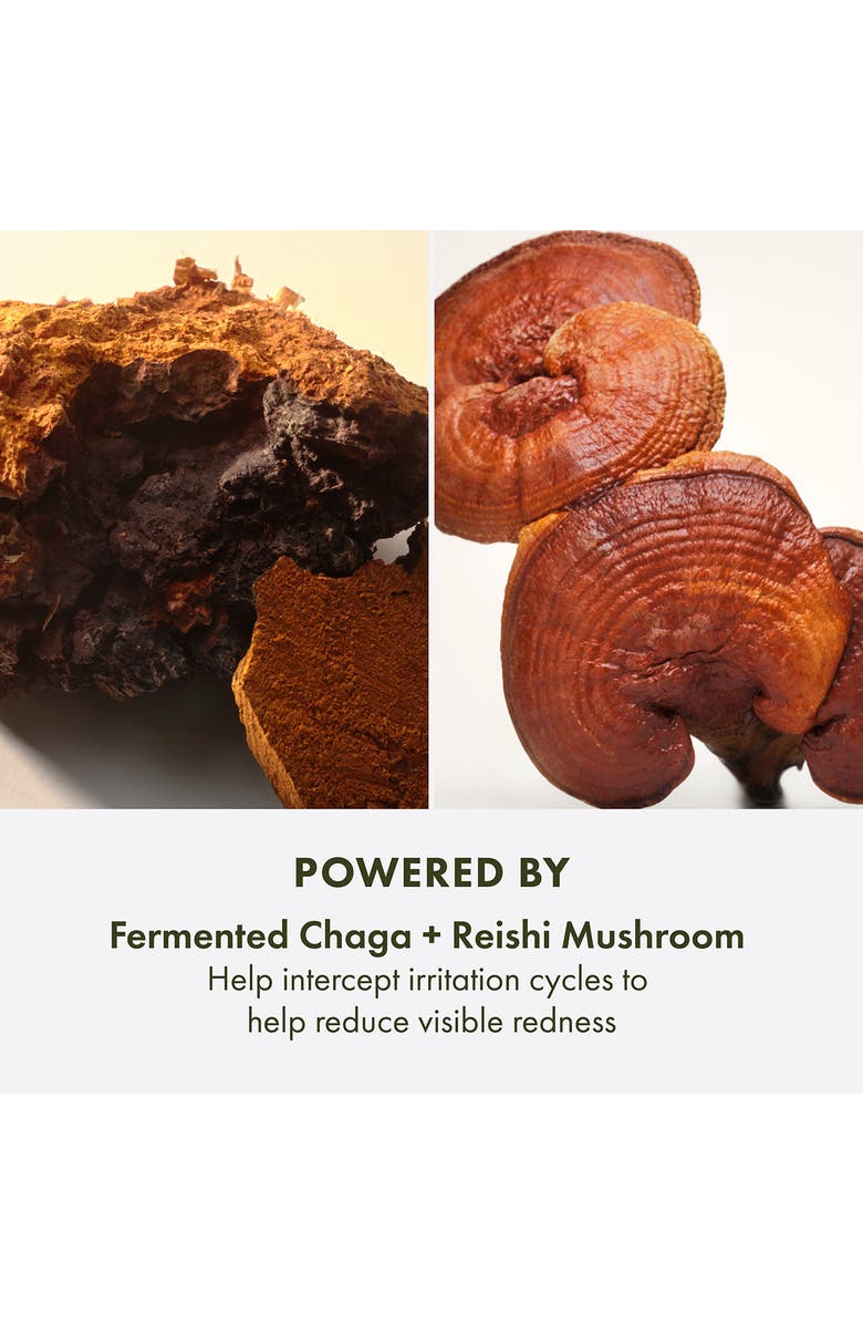 Origins Mega-Mushroom Barrier Rescue Concentrated Serum, Alternate, color,