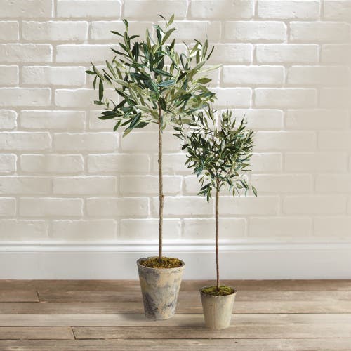Napa Home & Garden 30in Olive Tree Potted In Multi