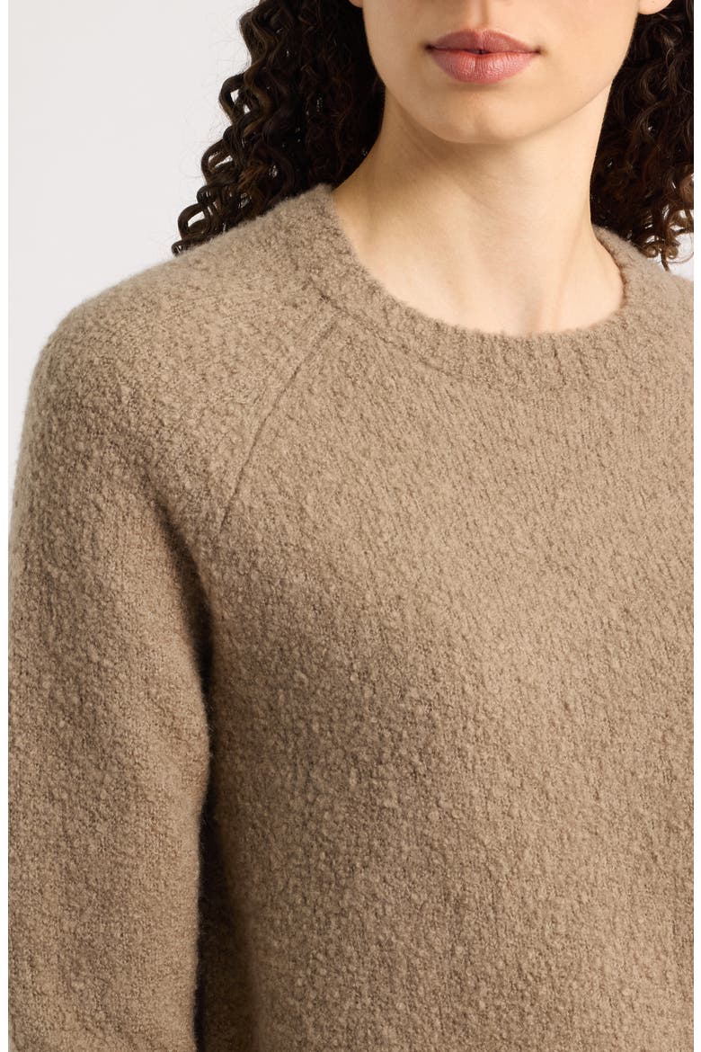 Febisana Wool and Cashmere Long Sleeve Sweater, Alternate, color, WALNUT