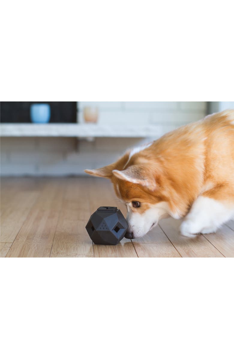 Up Dog Toys The Odin Treat Dispenser, Alternate, color, 