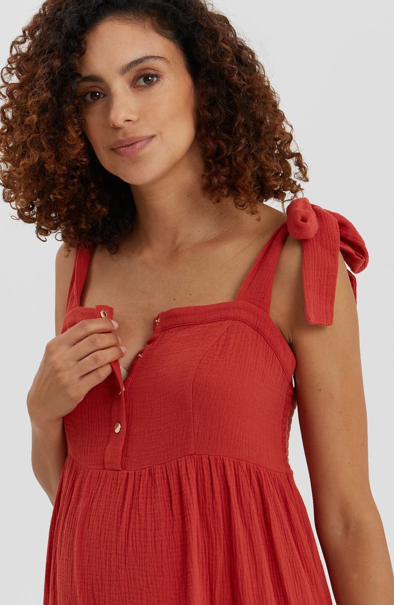 Nom Maternity Alise Maternity/Nursing Sundress, Alternate, color, 