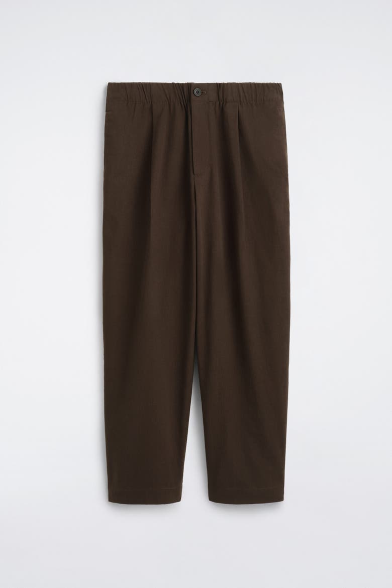 Pleated Relaxed-Fit Barrel-Leg Pants, Alternate, color, BROWN