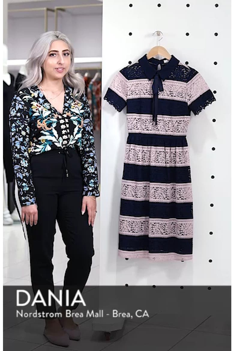 Stripe Lace Fit & Flare Dress video