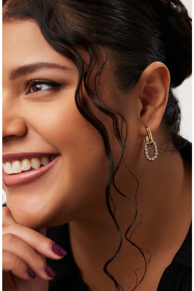 Ash Double Hoop Earrings, Alternate, color, GOLD / SILVER