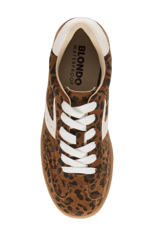 Blondo Remmie Sneaker In Brown