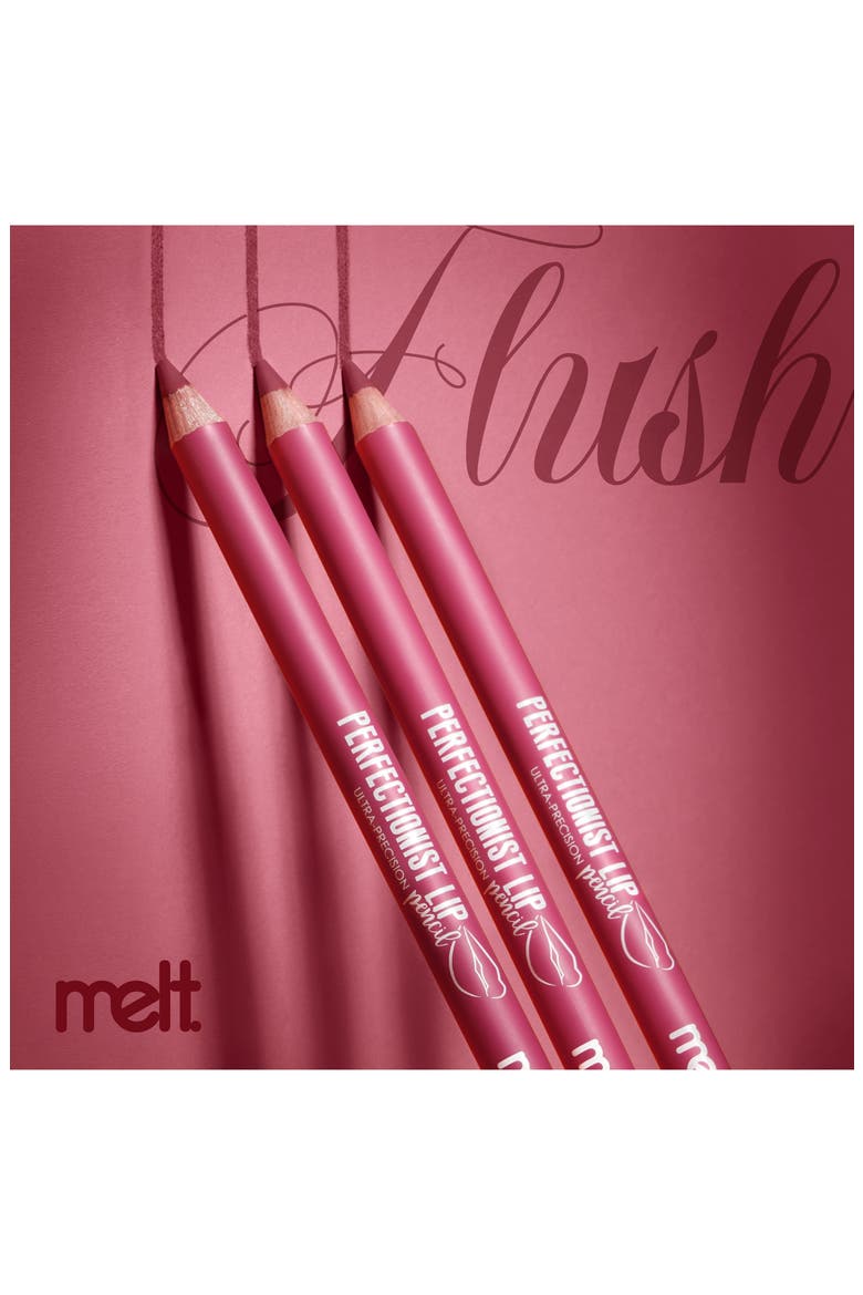 Perfectionist Lip Pencil, Alternate, color, FLUSH